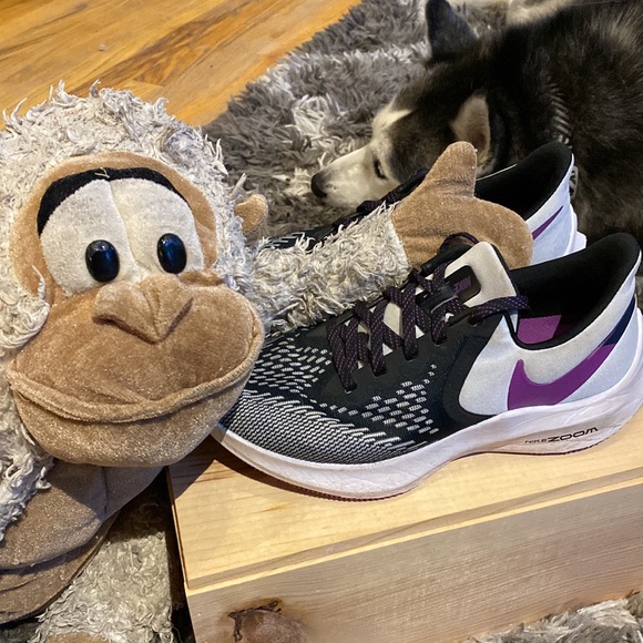 Lightly used Nike Zoom Winflo running shoes. Mookie highly recommends them. - Picture 2 of 7